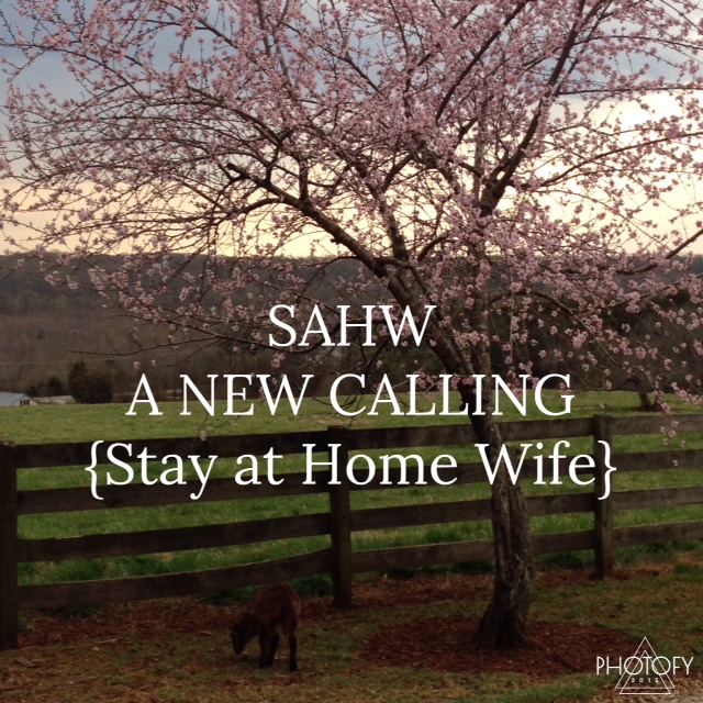 Stay at Home Wife… It's not old fashioned but a PASSION.