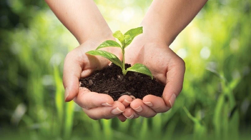 Fertile Soil: Will We Grow & How?