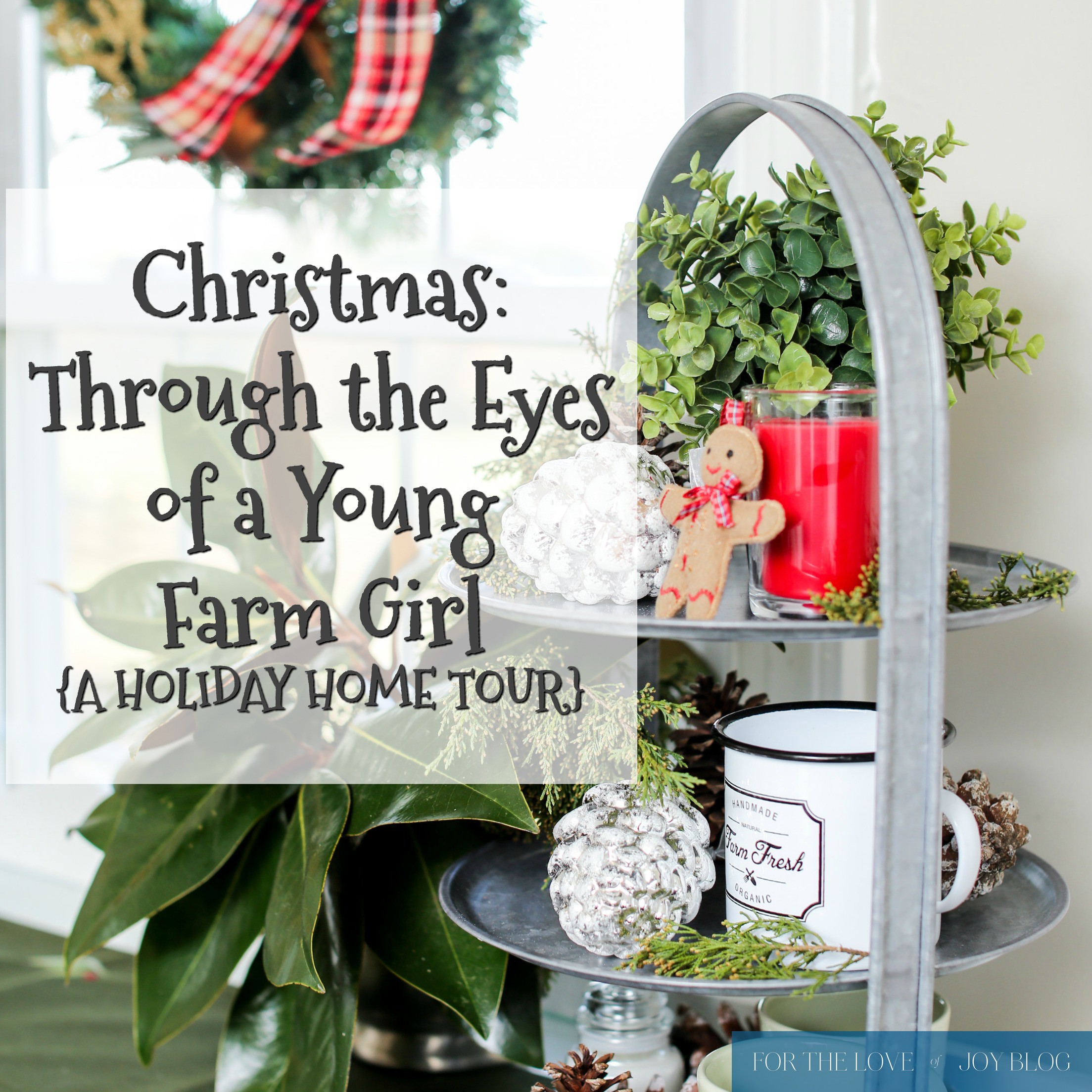 Christmas: Through the Eyes of a Young Farm Girl