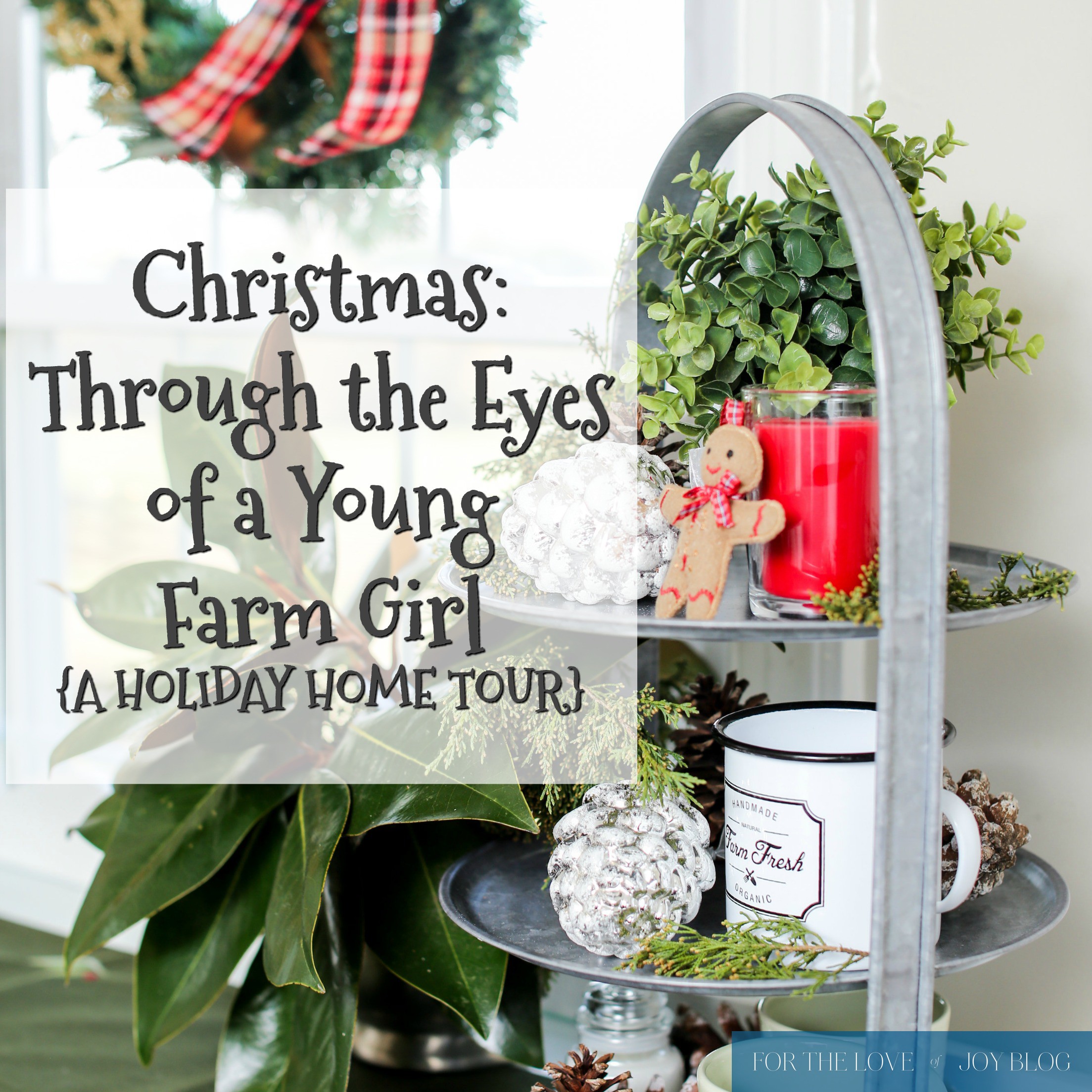 Hour Tour: Christmas FarmHouse Again!