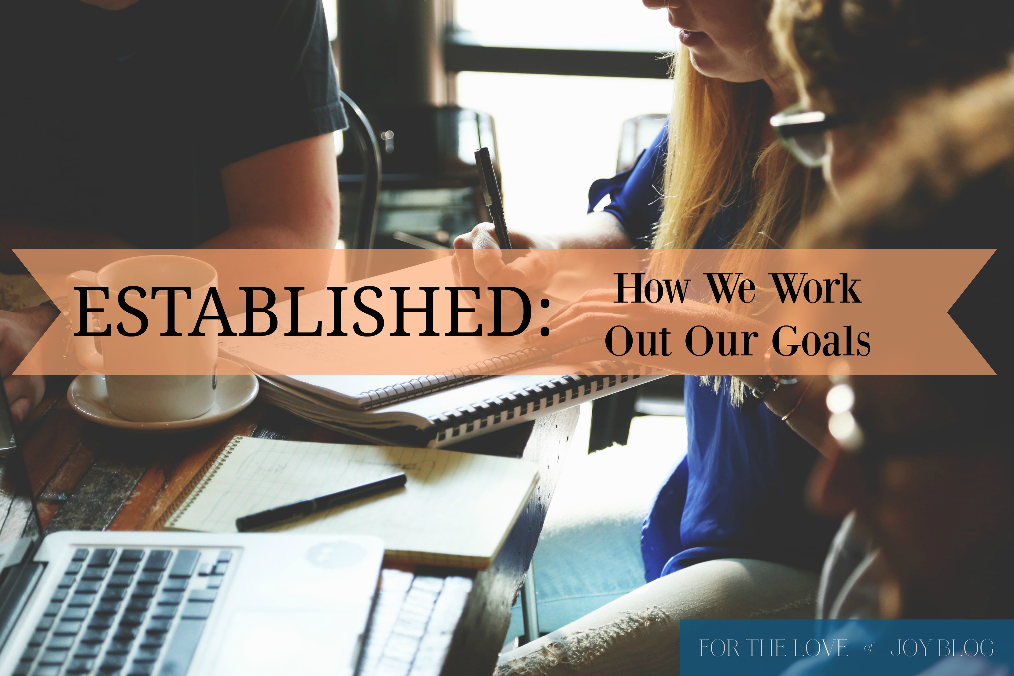 Established: How We Attain Our Goals