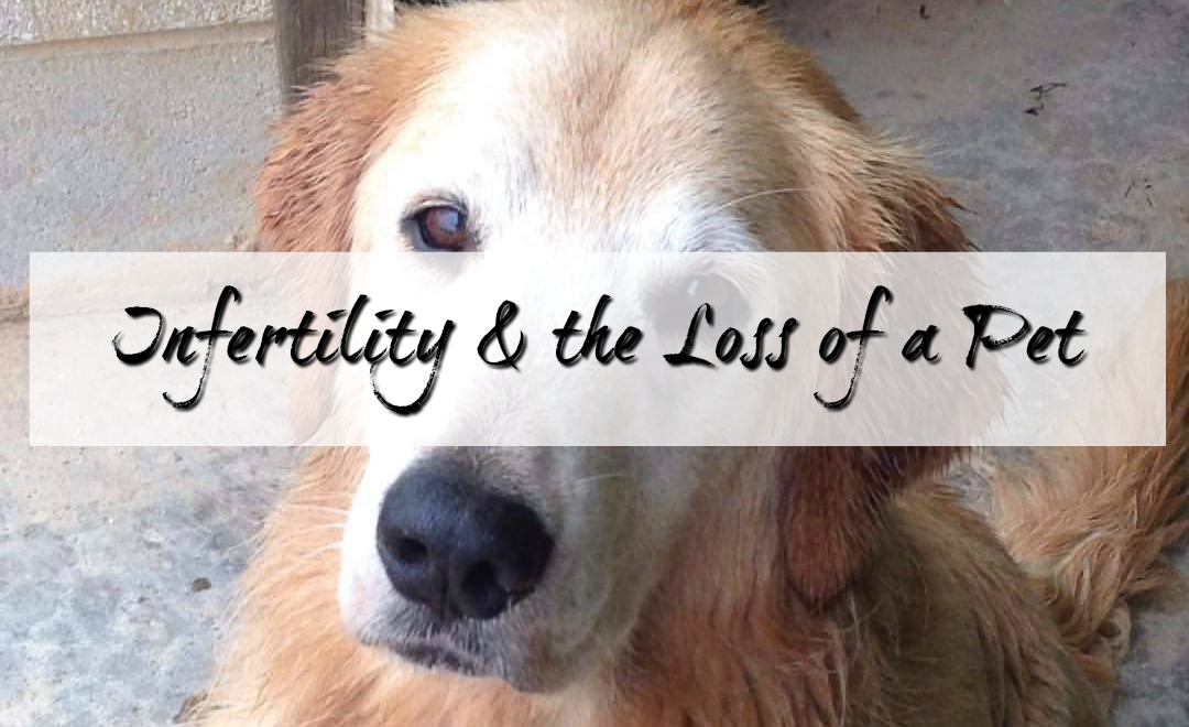 Infertility and the Loss of a Pet