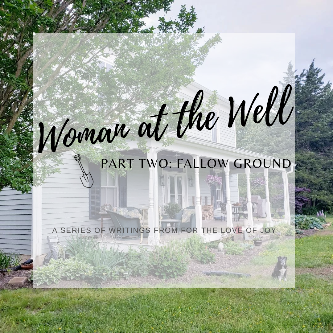 Woman at the Well: Fallow Ground